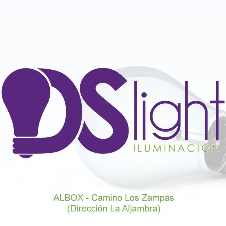 Logo de DS Light and Electrodom