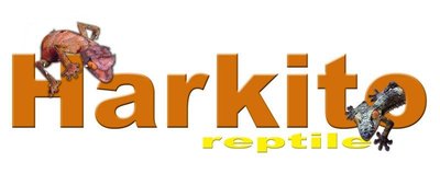 Logo de Harkito Reptile
