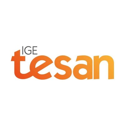 Logo de IGE TESAN FENIE ENERGIA EMPRESA DELEGADA EN LOS ALCAZARES MURCIA